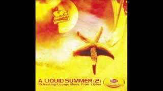 A Liquid Summer - 10. Brett Johnson ft. Dave Barker - Temptations & Lies (For those who can mix)