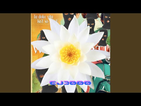 Aloha! (The White Lotus)