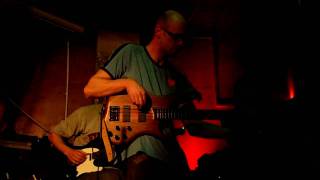 Sunflower Seeds - Szare obrazki