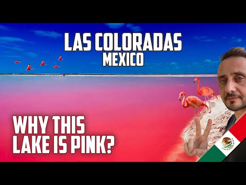 Las Coloradas Yucatan | BEST Las Coloradas Rio Lagartos Travel Guide Vlog 2024