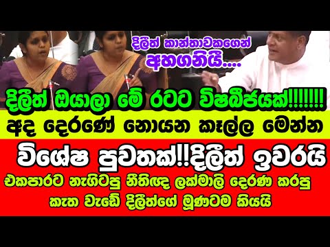 🚨විශේෂ පුවතක්!! අද දෙරණේ නොයන කෑල්ල මෙන්න - නීතිඥ ලක්මාලි දිලීත්ට හොද පාඩමක් උගන්වයි