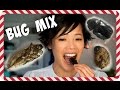 Day 4 Giant Water Bug Rhino Beetle Sa