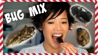 Day 4: Giant Water Bug, Rhino Beetle, Sago Worm, Crickets - 5 Days of Bug Eating