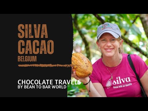 Interview with Katrien from Silva Cacao, fine cacao distributor doing incredible work!
