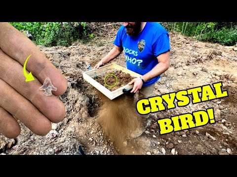 STRANGE Dark Soil LOADED with Artifacts! Arrowhead Hunting Arkansas!