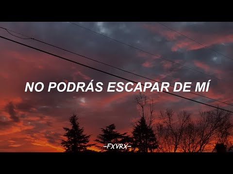 No podrás escapar de mí | Willie González🌻 | 𝐿𝑒𝓉𝓇𝒶