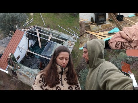 Cyclone Destroyed Our Off Grid Home