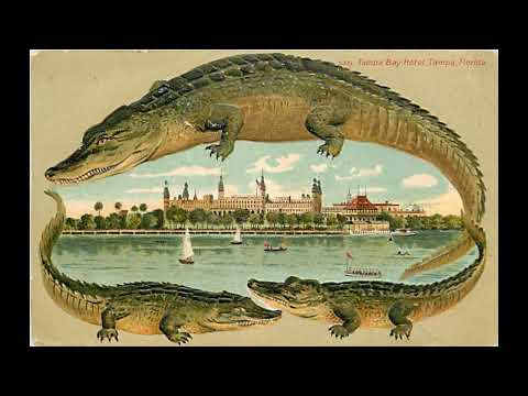 Florida Rhythm - Ross De Luxe Syncopators (1926)