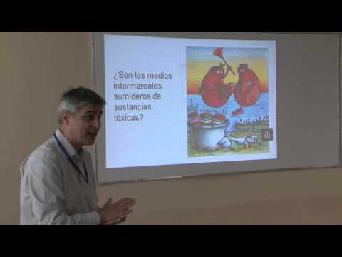 CICLO DE CONFERENCIAS PROMETEO (PhD. XOSÉ L. OTERO)