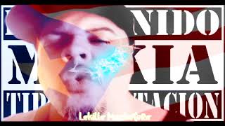 KMTX / KONTENIDO MAKIA