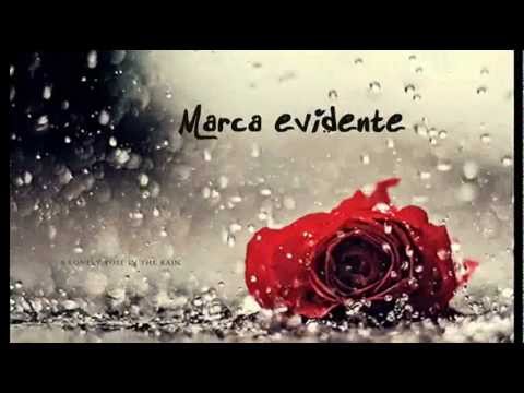 Marca evidente - Israel & Rodolfo