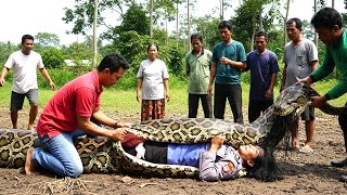 Download lagu VIRAL‼️REKAN POLISI LANGSUNG TEMBAK MATI PITON, USAI LIHAT ISI PERUTNYA, TERNYATA TEMANNYA SENDIRI mp3