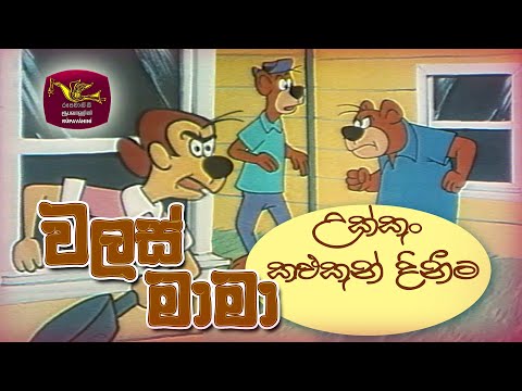 Walas Mama | වලස් මාමා | උක්කුං කළුකුන් දිනීම
