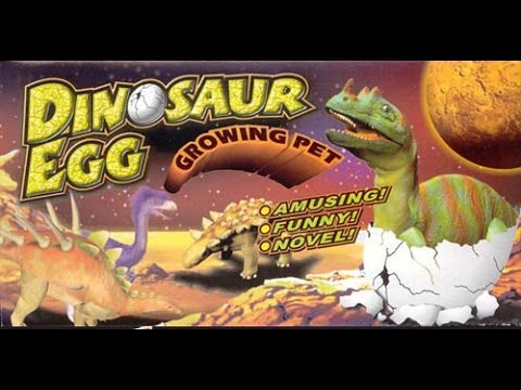 Growing Dinosaur Pet from Egg - 4 days in 2 minutes!!! TimeLaps for kids by theSurpriseEggs Video
