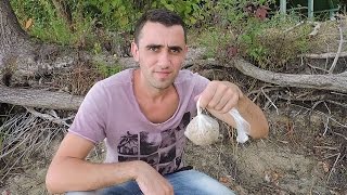 Рак как наживка что и когда клюет