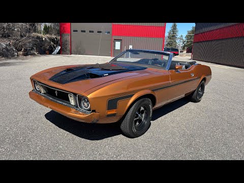 1973 Ford Mustang (CC-2062574) for sale in Annandale, Minnesota