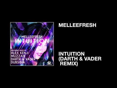 Melleefresh / Intuition (Darth & Vader Remix)