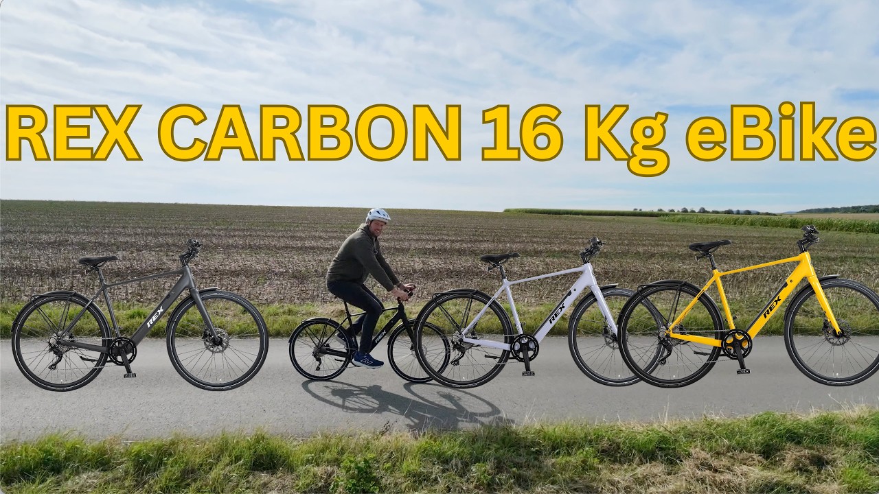 REX Carbon - Leichter City Flitzer.