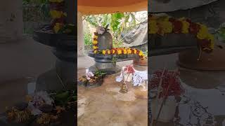 Mere Bhole Nath🙏 Jubin nautiyal song #viral #jubinnautiyal #bholenath #mahadev