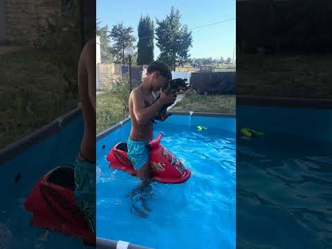 Am bagat-o pe Daisy in piscina #sofiabrindas #dailyvlog #pool #demibrindas