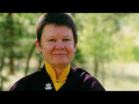 (Guided Meditation) Increase Mindfulness, Awareness, Calm Abiding & Special Insight ♡ Pema Chodron
