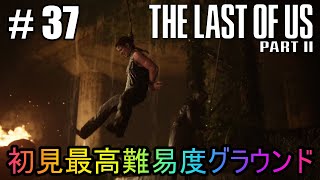 #37【The Last of Us Part II】初見最高難易度グラウンドで美少女たちが暴れん坊将軍