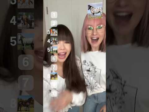 Viki & Sarina kaufen NEUES PFERD? 😱 Pferderassen Ranking #ViktoriaSarina