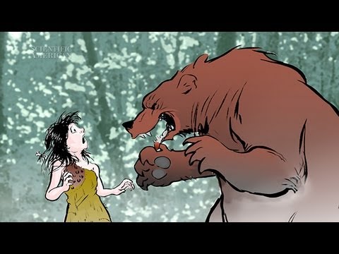 Warum Stress gut für Sie ist - Instant Egghead #40