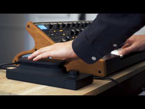 Touché & Moog Sub 37 : 5th In Line