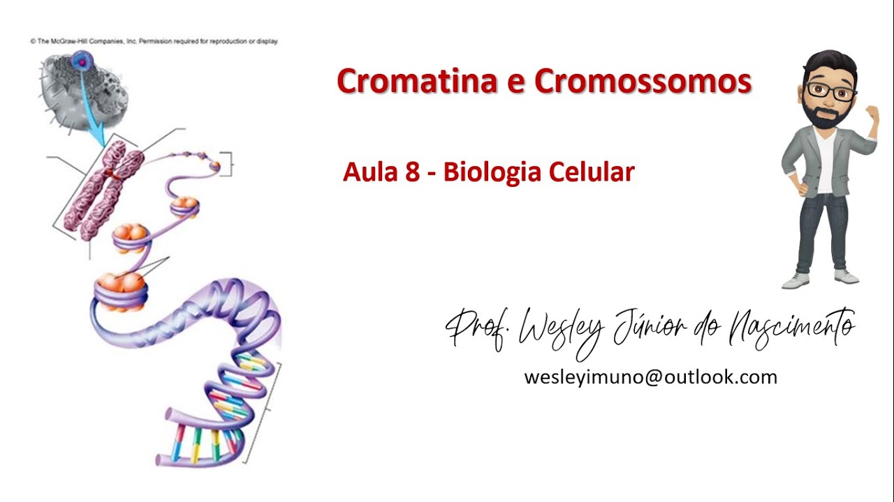 Biologia Celular -Ensino Superior-Aula 08: Cromatina e Cromossomos
