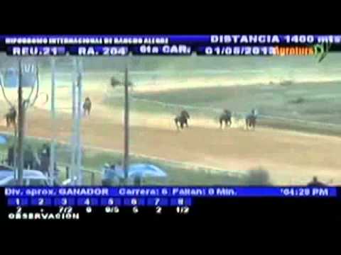 Resumen Miercoles, 01 de Mayo de 2013 - Rancho Alegre