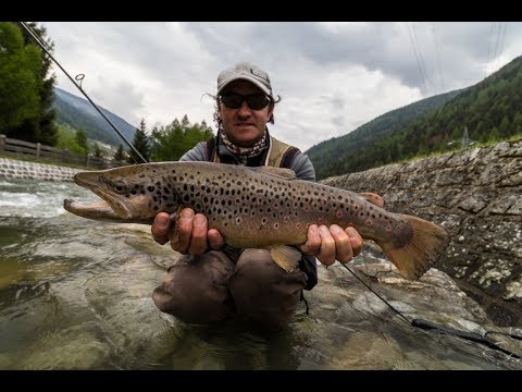 A pesca in Val di Sole con Max Ghibaudo - Campione del Mondo 2017