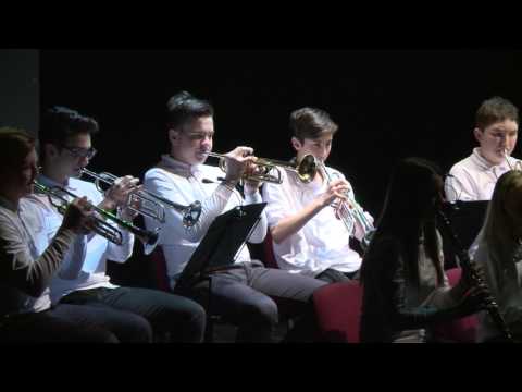 Pihalni orkester Glasbene šole Lendava, koncert ob 20 letnici