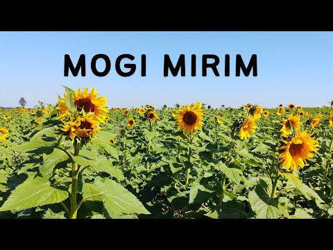 Mogi Mirim SP - Our tour of the city of Mogi Mirim SP - 2nd Season Ep 58