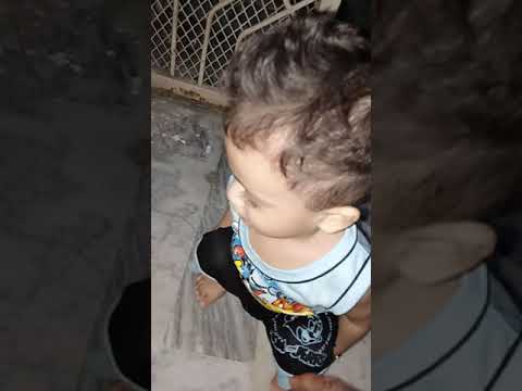 🐈 cat aie hai M.fateh ke ghar par watch my video 🤗