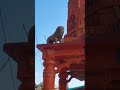 Jai Ho Uttarakhand Jaishreeram Ganesh Ganpati Devbhoomi Trending
