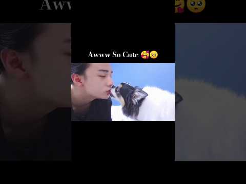 Hyunjin with Kami 💕😻 #music #lyrics #song #newmusic #hyunjin #hwanghyunjin #kami #explore #skz #kpop