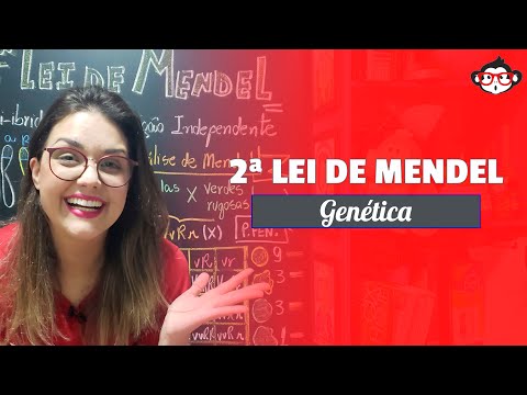 Genética | 2ª Lei de Mendel: Diibridismo 🧬🐵