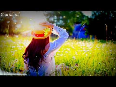 Fadhil Mjf Feat Melisa - Peunawa ngoen Do'a ( Video Lyrics )