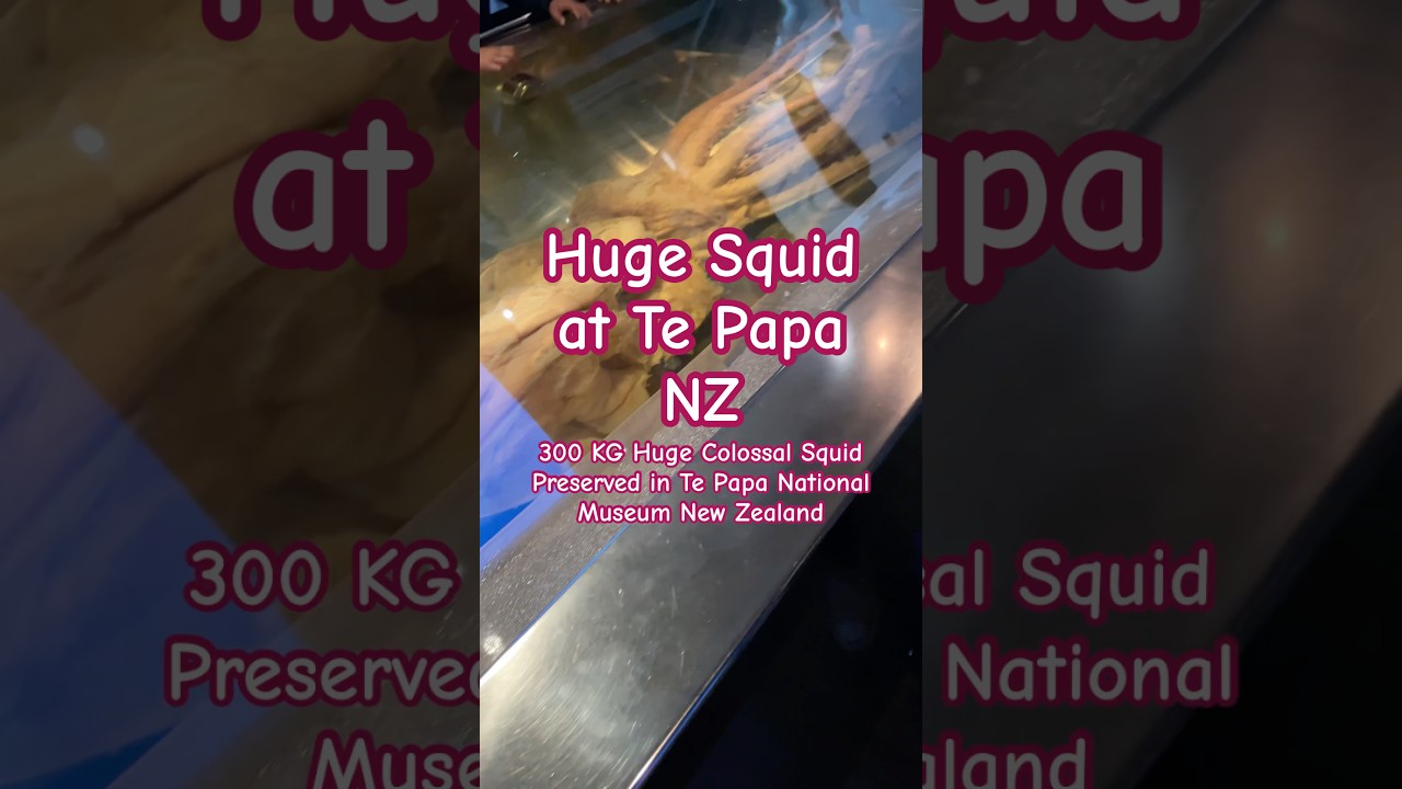 YouTube Short thumbnail