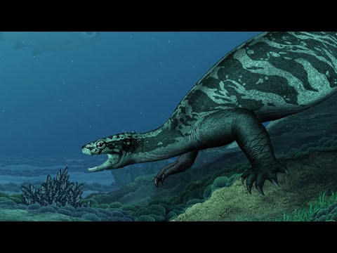 Heroes in a Half-Shell: The Early Evolution of Turtles