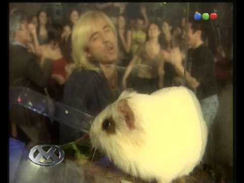 Cristian Lastro canta "Gris"- Videomatch