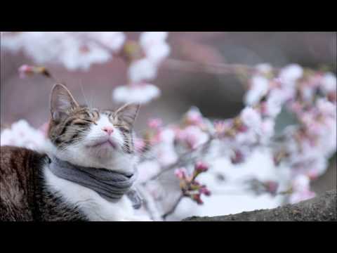 Ashley Beedle - Revolutions in Dub (Sharam's Akiko Dub)