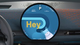 Mini How To Setup your MINI Intelligent Personal Assistant