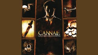 Mechanics of Moving Backwards