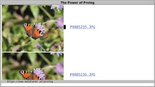 Creating a photo gallery with Prolog