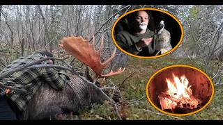 Download lagu Season 13 Alone’s Highlight: Contestant Bags A Giant Moose For Endless Protein! mp3 Download lagu Season 13 Alone’s Highlight: Contestant Bags A Giant Moose For Endless Protein! mp3