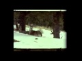 Rumspringa - Minds Awake 