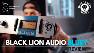 Video thumbnail for Black Lion Audio Bluey | Review by Seawell Studios
