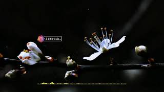 Download lagu Status whatsapp||story WA - mengapa tak pernah jujur mp3 Download lagu Status whatsapp||story WA - mengapa tak pernah jujur mp3